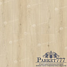 картинка Ламинат SPC Alpine Floor Grand Sequoia Кипарисовая Eco 11-26 от магазина Parket777