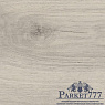 картинка Ламинат HARO TRITTY 100 Loft 4V Дуб Эмилия Светло-Серый 538717 от магазина Parket777
