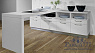 картинка Ламинат Kaindl Easy Touch 8.0 Premium Gloss plank Орех Вива P80120 HG от магазина Parket777