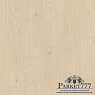 картинка Винил WINEO 1500 Wood XL Ясень Нэйтив PL099C от магазина Parket777