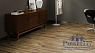 картинка Ламинат Kaindl Easy Touch 8.0 Premium Gloss plank Хикори Браво P80070 HG от магазина Parket777