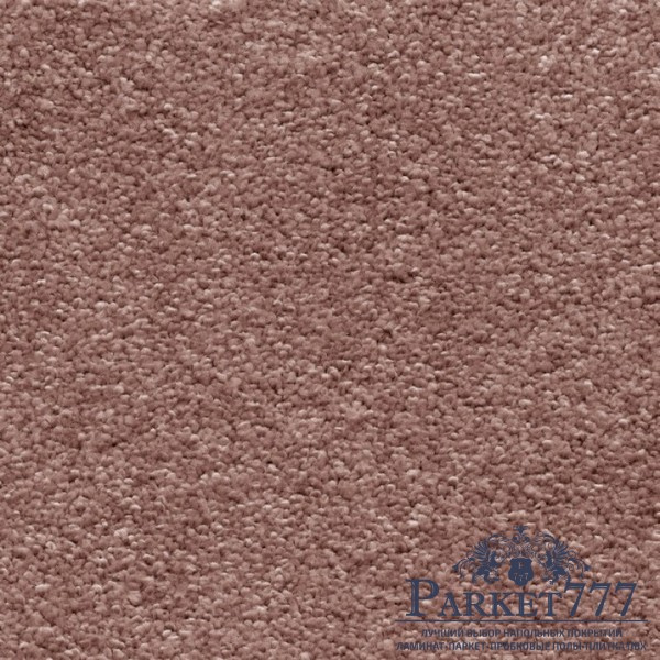 картинка Ковролин Associated Weavers Omnia 60 от магазина Parket777