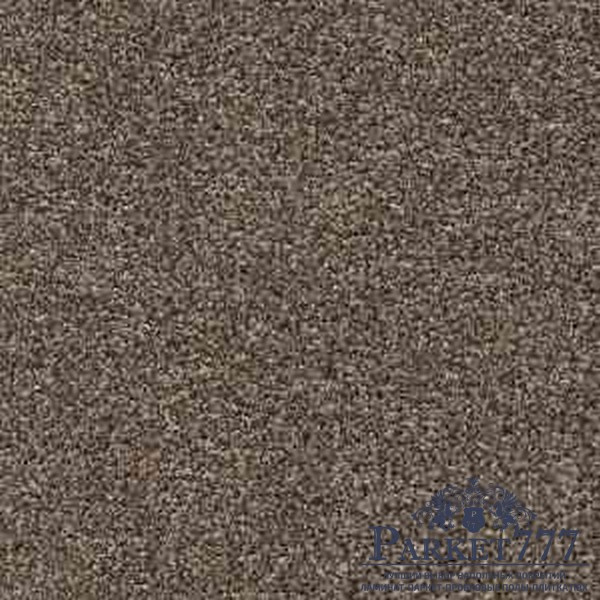 картинка Ковролин Associated Weavers Stainguard Harvest Heathers 42 от магазина Parket777 картинка Ковролин Associated Weavers Stainguard Harvest Heathers 42 от магазина Parket777