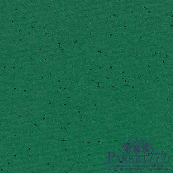 картинка Линолеум Forbo Sphera Energetic 50242 от магазина Parket777