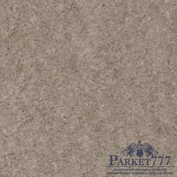 картинка Ковролин Associated Weavers Euphoria 34 от магазина Parket777
