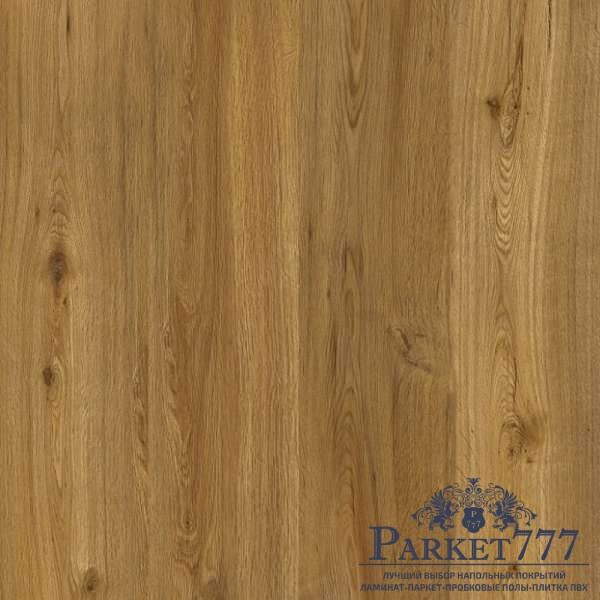 картинка SPC плитка Corkart Scandinavian HONEY SUMMER OAK WK 9817 от магазина Parket777 картинка SPC плитка Corkart Scandinavian HONEY SUMMER OAK WK 9817 от магазина Parket777