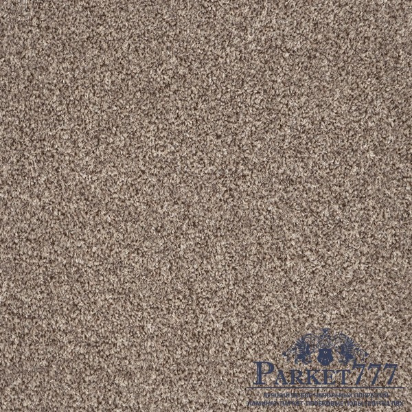картинка Ковролин Associated Weavers Terra Heathers 49 от магазина Parket777