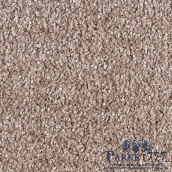 картинка Ковролин Associated Weavers Carolus 40 от магазина Parket777 картинка Ковролин Associated Weavers Carolus 40 от магазина Parket777