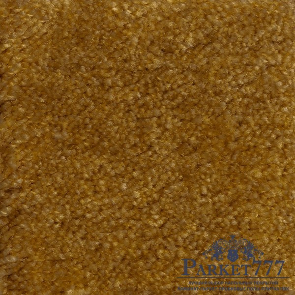 картинка Ковролин Associated Weavers Euphoria 54 от магазина Parket777