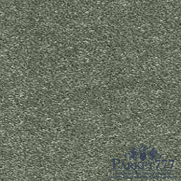 картинка Ковролин Associated Weavers Passion 28 от магазина Parket777