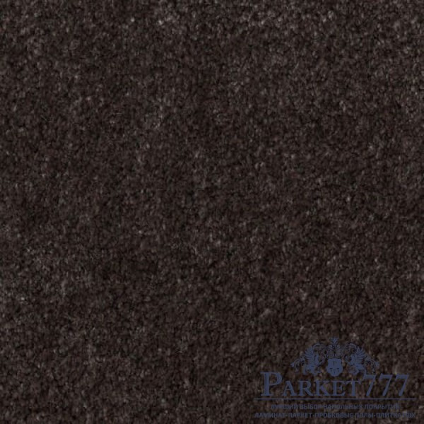 картинка Ковролин Associated Weavers Euphoria 43 от магазина Parket777