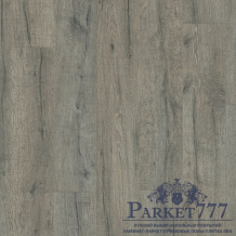 Кварцвиниловая плитка Pergo Classic Plank Click Дуб Королевский серый V3107-40037