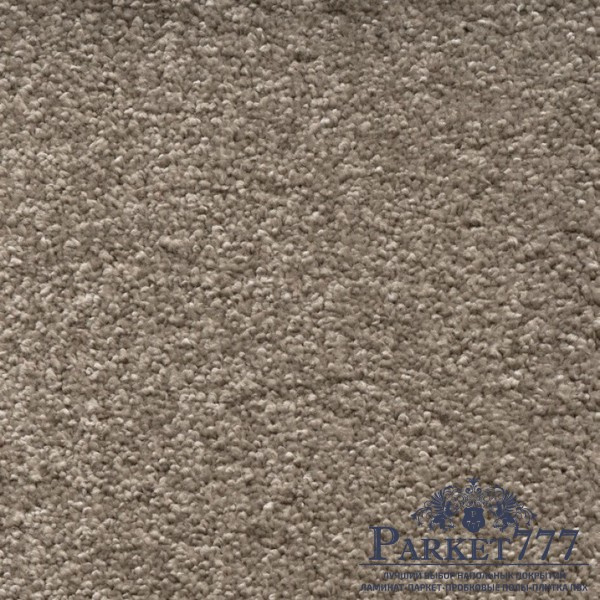 картинка Ковролин Associated Weavers Omnia 49 от магазина Parket777