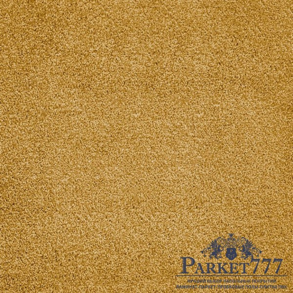 картинка Ковролин Associated Weavers Ganges 54 от магазина Parket777 картинка Ковролин Associated Weavers Ganges 54 от магазина Parket777