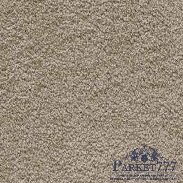 картинка Ковролин Associated Weavers Softissimo 39 от магазина Parket777