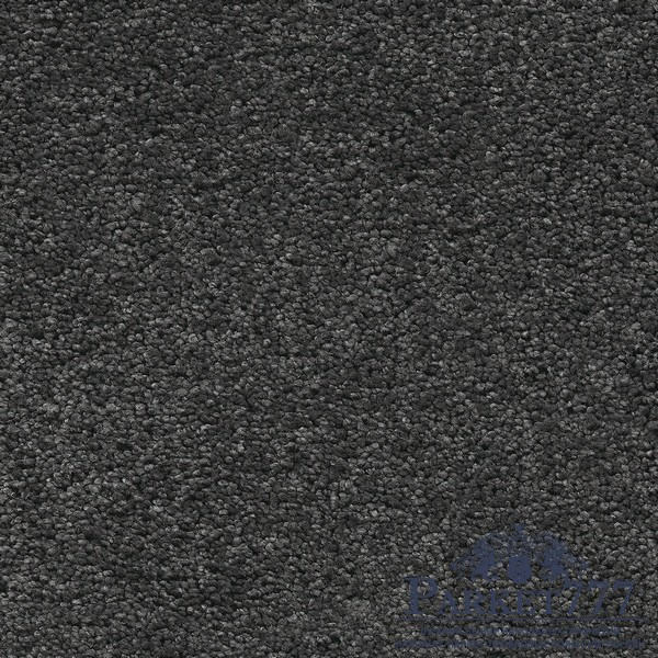картинка Ковролин Associated Weavers Vigour 98 от магазина Parket777 картинка Ковролин Associated Weavers Vigour 98 от магазина Parket777