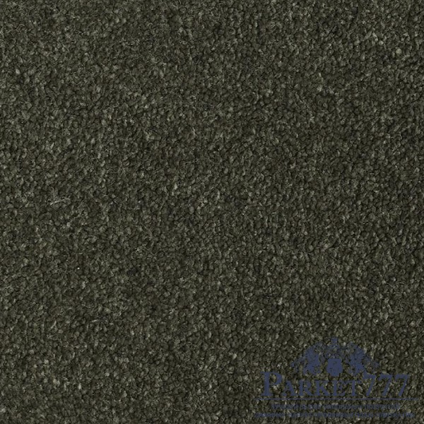 картинка Ковролин Associated Weavers Oreade 24 от магазина Parket777