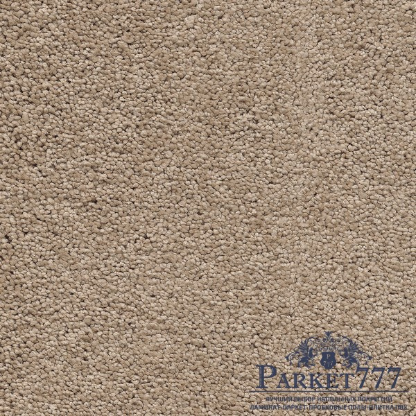 картинка Ковролин Associated Weavers Vigour 38 от магазина Parket777