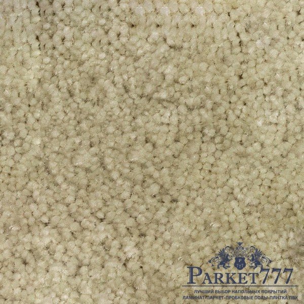 картинка Ковролин Associated Weavers Euphoria 29 от магазина Parket777