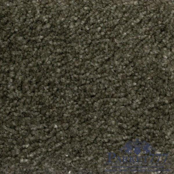 картинка Ковролин Associated Weavers Euphoria 24 от магазина Parket777