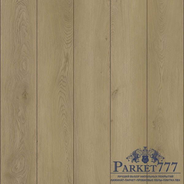 картинка SPC ламинат Aspenfloor Place Берн от магазина Parket777 картинка SPC ламинат Aspenfloor Place Берн от магазина Parket777