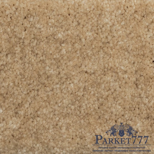 картинка Ковролин Associated Weavers Euphoria 36 от магазина Parket777