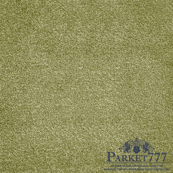 картинка Ковролин Associated Weavers Ganges 21 от магазина Parket777