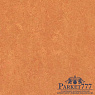 картинка Мармолеум Forbo Marmoleum Marbled 2,50 3825 от магазина Parket777
