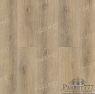 картинка SPC ламинат Norland Vakre Чистый исток Tisla 1022-20 от магазина Parket777
