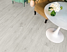 картинка Ламинат SPC Alpine Floor Grand Sequoia Village Гранд Секвойя Изящная Атланта Eco 11-207 МС от магазина Parket777