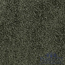 картинка Ковролин Associated Weavers Daydream 24 от магазина Parket777