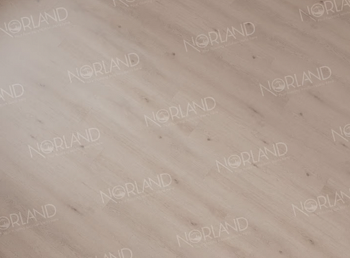 картинка SPC ламинат Norland Sigrid Роскошь Alante 1001-5 от магазина Parket777