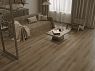 картинка Ламинат SPC Alpine Floor Premium Xl Премиальный XL Дуб Соломенный ABA ECO 7-37 MC от магазина Parket777