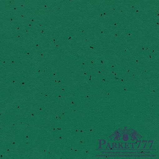 картинка Линолеум Forbo Sphera Energetic 50242 от магазина Parket777