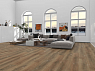 картинка Ламинат SPC Alpine Floor Premium Xl Премиальный XL Дуб Эниф ABA ECO 7-31 MC от магазина Parket777