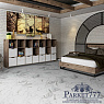 картинка SPC ламинат DAMY FLOOR Ascent Strong Эверест 124-1-ST от магазина Parket777