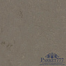 картинка Мармолеум Forbo Marmoleum Concrete 2,50 3705 от магазина Parket777