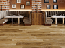 картинка SPC ламинат Natisston Leger Северный поток Gaula 5001-11 от магазина Parket777