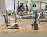 картинка Ламинат SPC Alpine Floor Grand Sequoia Village Гранд Секвойя Изящная Миндаль Eco 11-607 МС от магазина Parket777