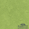 картинка Мармолеум Forbo Marmoleum Sport 4,0 мм 83285 от магазина Parket777