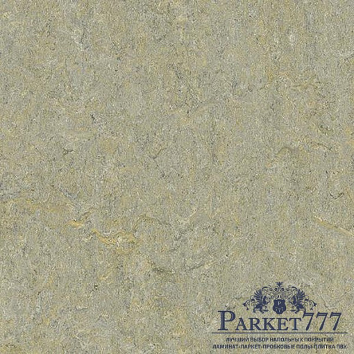 картинка Мармолеум Forbo Marmoleum Terra 2,50 5801 от магазина Parket777