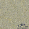 картинка Мармолеум Forbo Marmoleum Terra 2,50 5801 от магазина Parket777