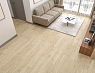 картинка Ламинат SPC Alpine Floor Grand Sequoia Village Гранд Секвойя Изящная Камфора Eco 11-507 МС от магазина Parket777