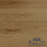 картинка SPC ламинат Steinholz Кронбург STH077 от магазина Parket777