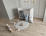 картинка Ламинат SPC Alpine Floor Grand Sequoia Light Гранд Секвойя Карите Eco 11-901 МС от магазина Parket777