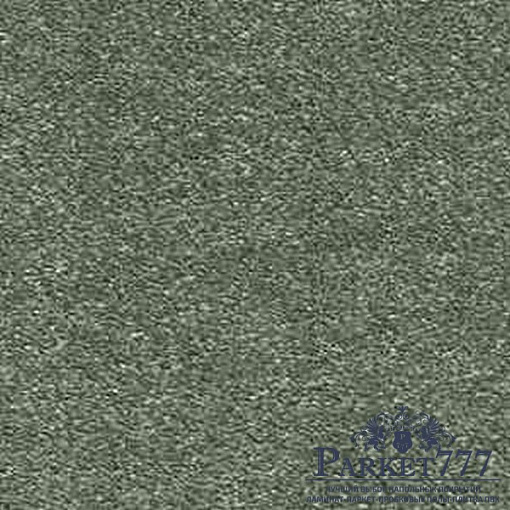 картинка Ковролин Associated Weavers Passion 28 от магазина Parket777