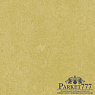 картинка Мармолеум Forbo Marmoleum Fresco 2,50 3259 от магазина Parket777