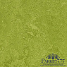 картинка Мармолеум Forbo Marmoleum Fresco 2,50 3247 от магазина Parket777