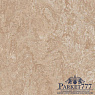 картинка Мармолеум Forbo Marmoleum Authentic 2,00 3141 от магазина Parket777