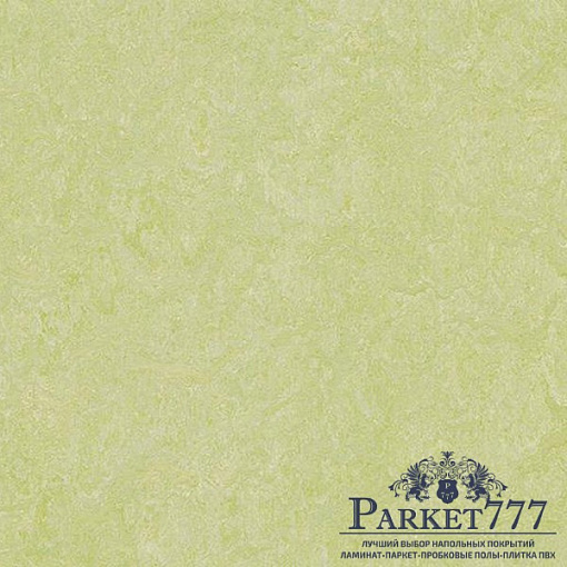 картинка Мармолеум Forbo Marmoleum Real 2,00 3881 от магазина Parket777